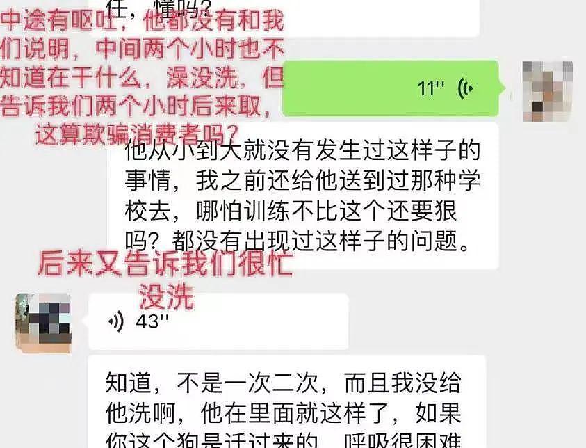 又一只金毛因洗澡死在宠物店，店家逃卸责任的理由太无耻了！ - 7