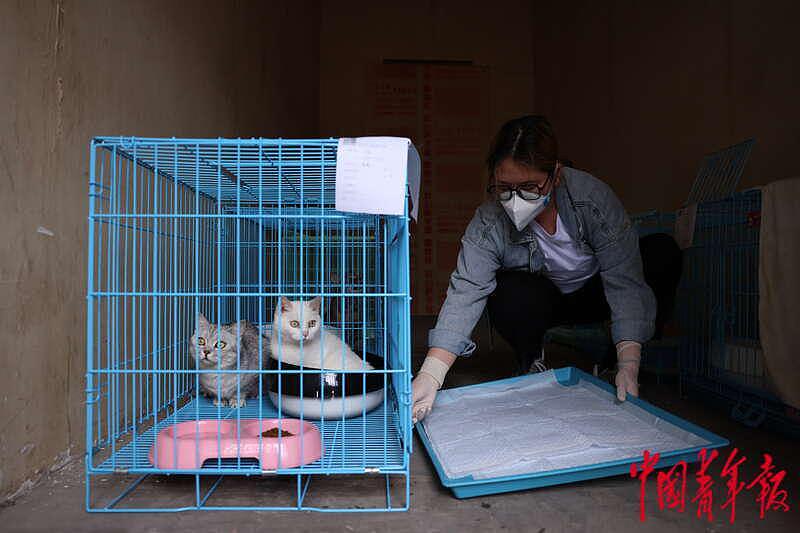 探访上海首个“动物方舱”：疫情下的温情与守护 - 6