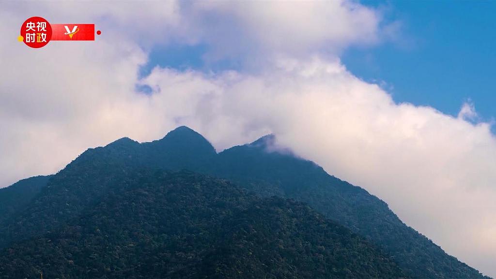 习近平海南行丨走进海南热带雨林国家公园五指山片区 - 1