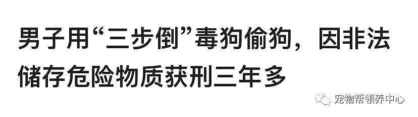 狗狗中毒后跑到派出所门口躲避，却仍没逃过偷狗贼，最后警察为它讨回公道 . - 23