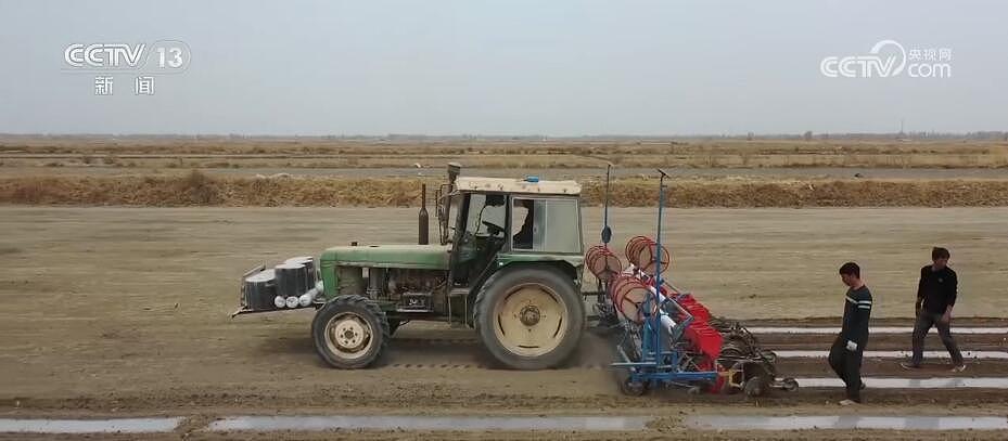 新疆巴州 320 万亩棉花播种有序展开 机械化播种率达到 100% - 1