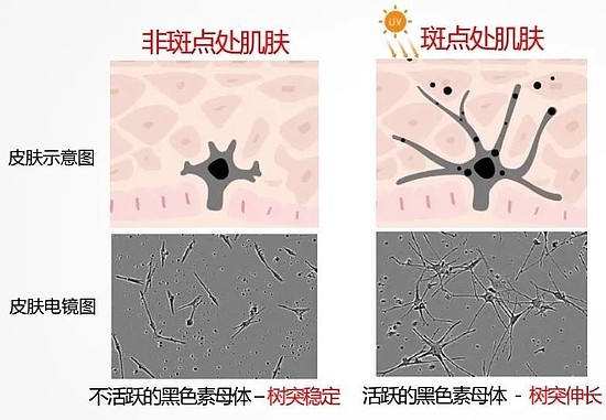 双十一王炸护肤好物 下一年的美丽指望它们了！ - 10