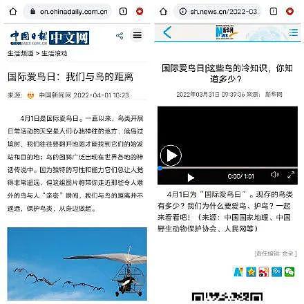 上海六院的“丁丁保卫战”推文，被骂不冤 - 18