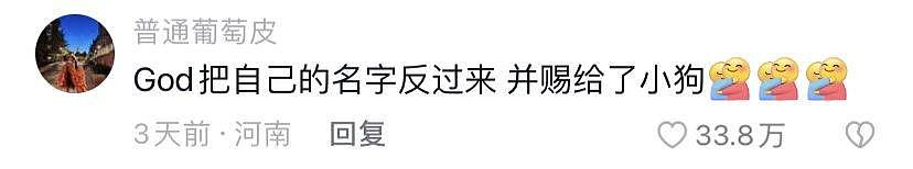 主人偷偷站在小狗身后，狗子嗅到气味的瞬间反应感动 600 万网友：它的爱永远单纯 . - 16