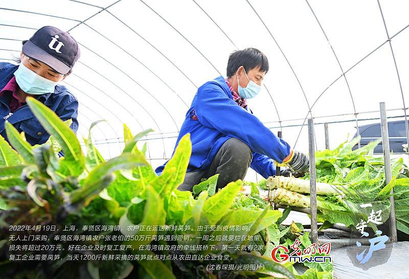一起守“沪” | 上海：企业复工复产   滞销蔬菜直接进食堂 - 2