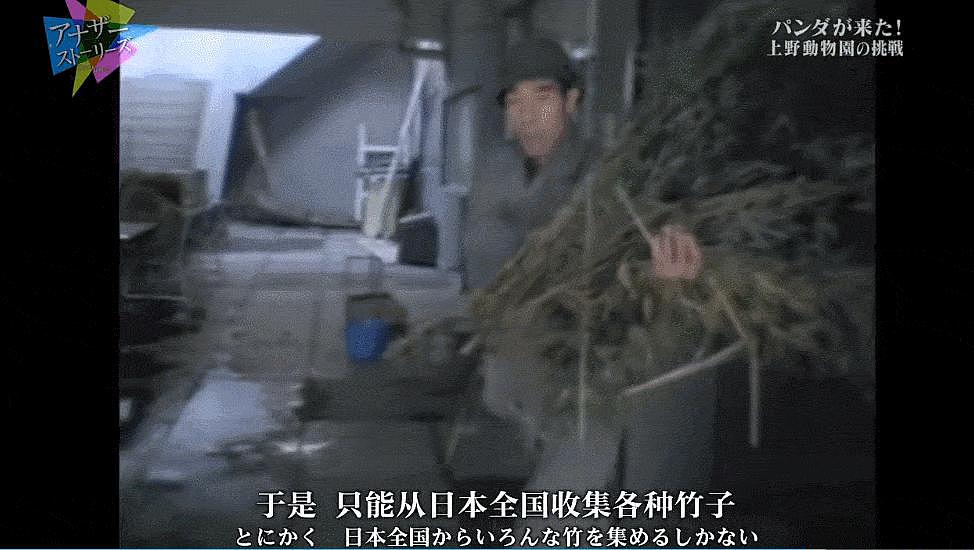 她这次热搜，刷屏内娱，却越扒越心疼 - 32