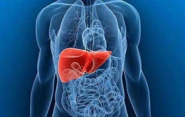 九个行为习惯对肝脏伤害很大，养肝护肝一定避开 - 1