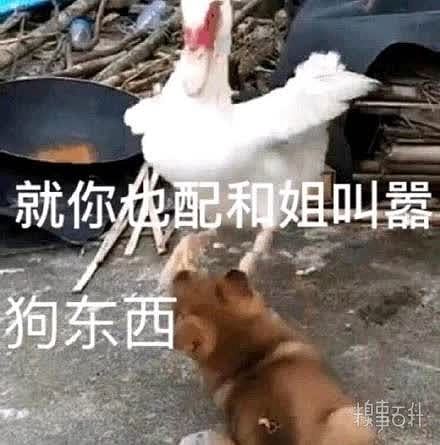 不好意思是我冒饭了