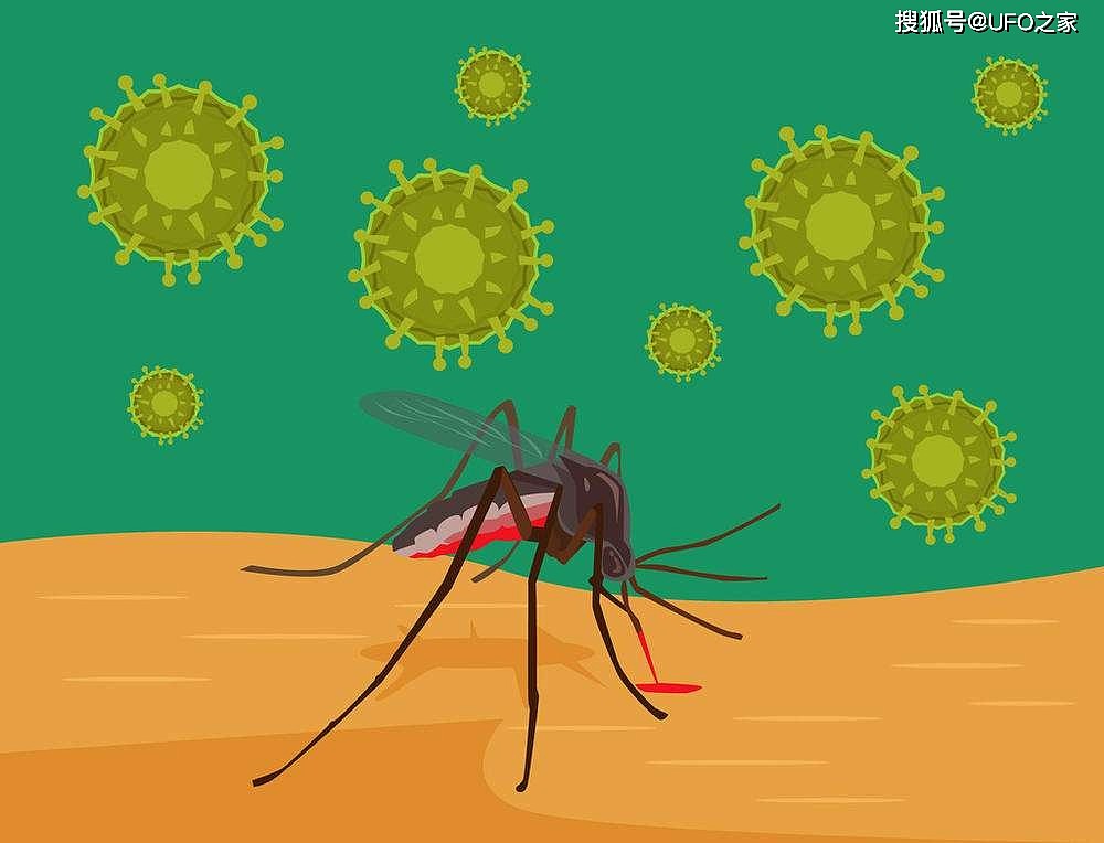 每年超百万人次因蚊子死于疟疾，若使蚊子灭绝，会破坏生态吗？ - 6