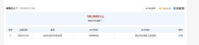 李亚鹏公司再被强制执行 200 于万 总金额超 454 万 - 4