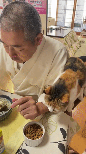 猫趣 | 一个人和六只猫守着一座寺院，吃饭都被群猫环绕会是怎样的体验？ - 11