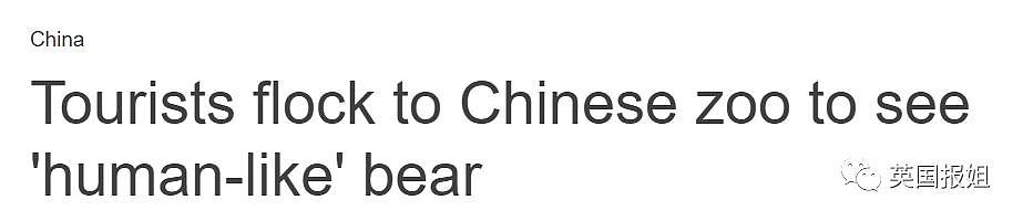 中国动物园的一头熊一夜之间火爆全球！国外媒体网友陷入疯狂：“它到底是熊还是人？！” - 10