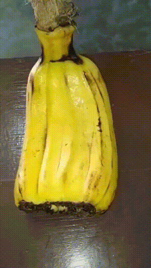 单独一个的叫香蕉，这