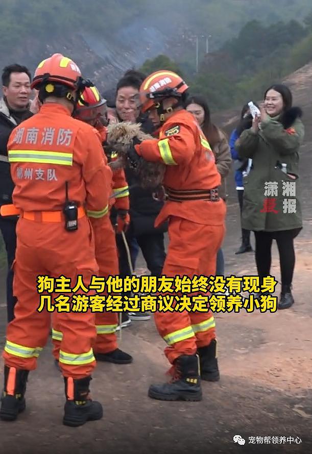狗狗掉下山崖消防员冒险营救，而害狗狗被困险境的人，却一走了之了 . - 25