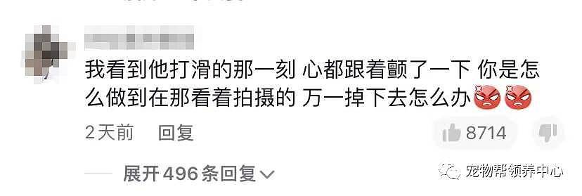 布偶猫险些坠楼，主人却在录视频赚流量，不能封窗为什么要养猫？ - 6