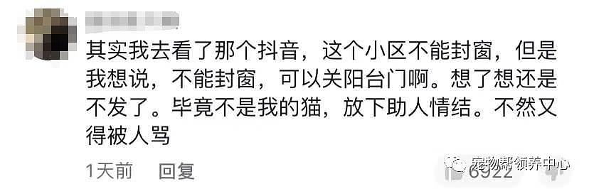 布偶猫险些坠楼，主人却在录视频赚流量，不能封窗为什么要养猫？ - 10