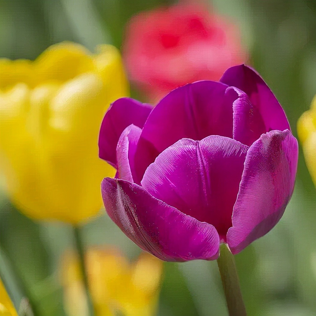 花花世界の浪漫，看了这些花花钻戒，是不是也想拥有一枚？ - 18