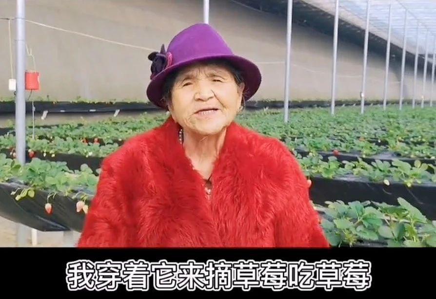 88 岁老母亲活成“工具人”，杨子到底是不是伪富豪？ - 10