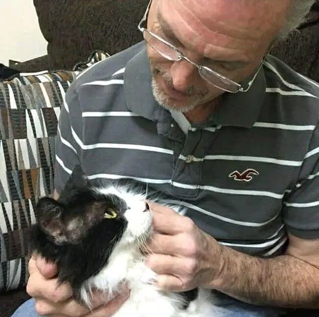 猫咪被关在航空箱，2年没尝过“走路”滋味，被救后见人就要抱抱 - 6