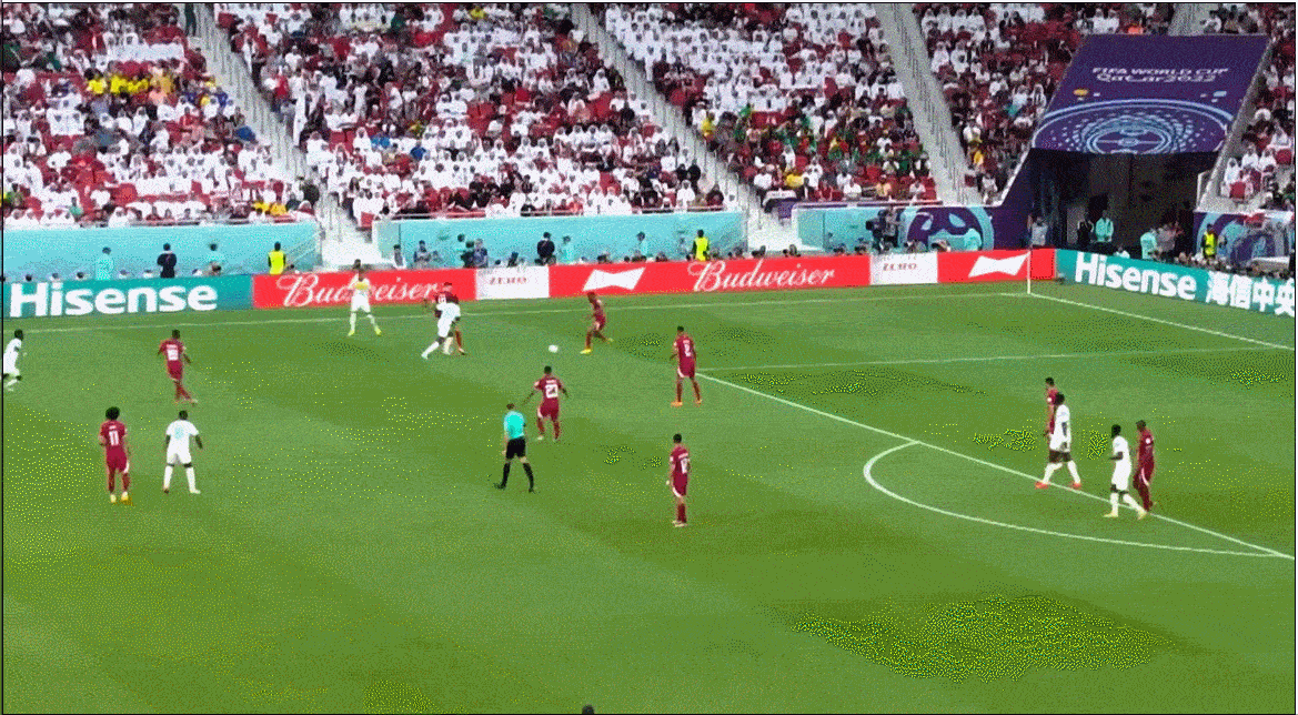 塞内加尔对上卡塔尔：非洲足球的野性和狂放在这一夜尽情绽放 - 11