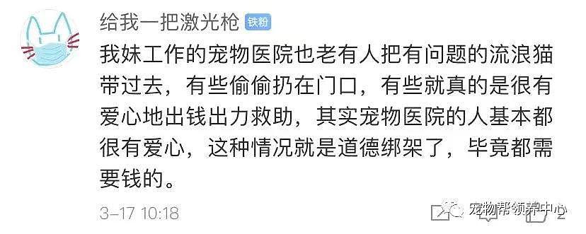 猫咪骨折后被遗弃在宠物店门口，店员将猫咪收养：善良的人就该被道德绑架？ - 15