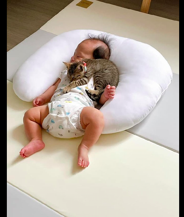 猫咪躺在宝宝的身上，虽然画面很暖心，但都压得喘不过气来了！ - 2