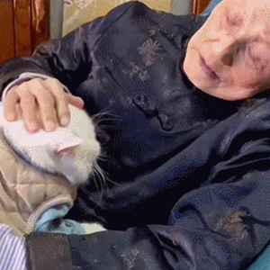 91岁奶奶躺在椅子上，抱着8岁的猫咪：我不在后，要记得听话 - 3