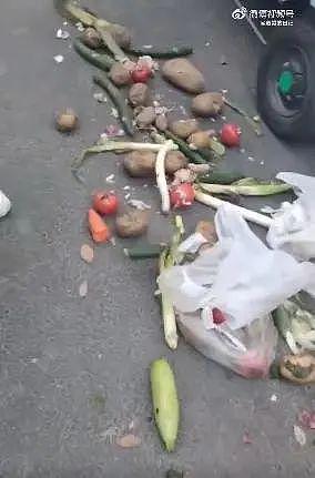 上海称辽宁捐赠蔬菜腐烂才扔垃圾桶？辽宁：冷链运输，菜品新鲜完好 - 11