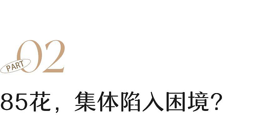 吵上热搜的杨幂赵丽颖，真该急了 - 15