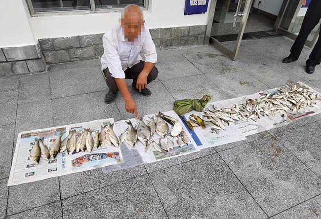 捕捞长江刀鱼206公斤，27人被抓！网友：钓鱼都不行你还敢下网捞 - 6