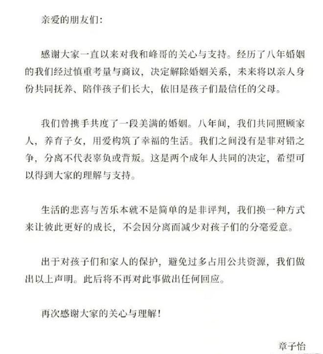 刘大锤称汪峰章子怡离婚原因：问题不是在男方 - 12