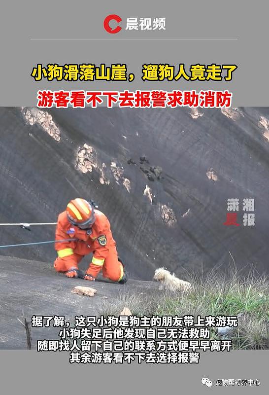 狗狗掉下山崖消防员冒险营救，而害狗狗被困险境的人，却一走了之了 . - 23