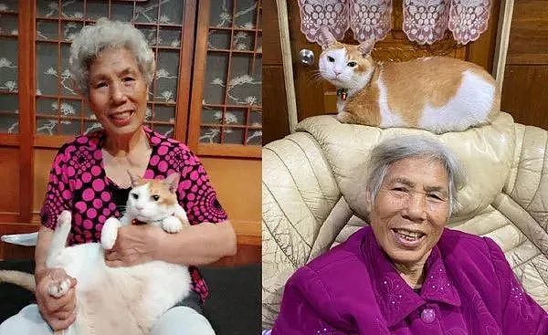 79岁阿祖养大的猫，对麦克风“啊啊啊”接唱超配合，网友笑惨 - 3