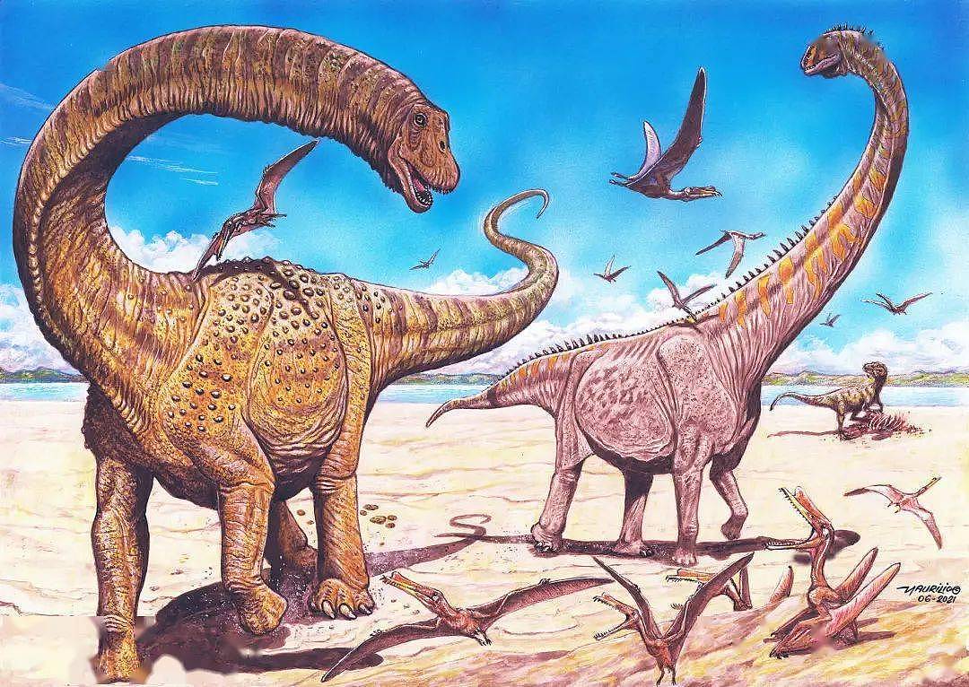 黄沙百战穿金甲，不得巨龙终不还：中国科学家发现恐龙新物种 - 2