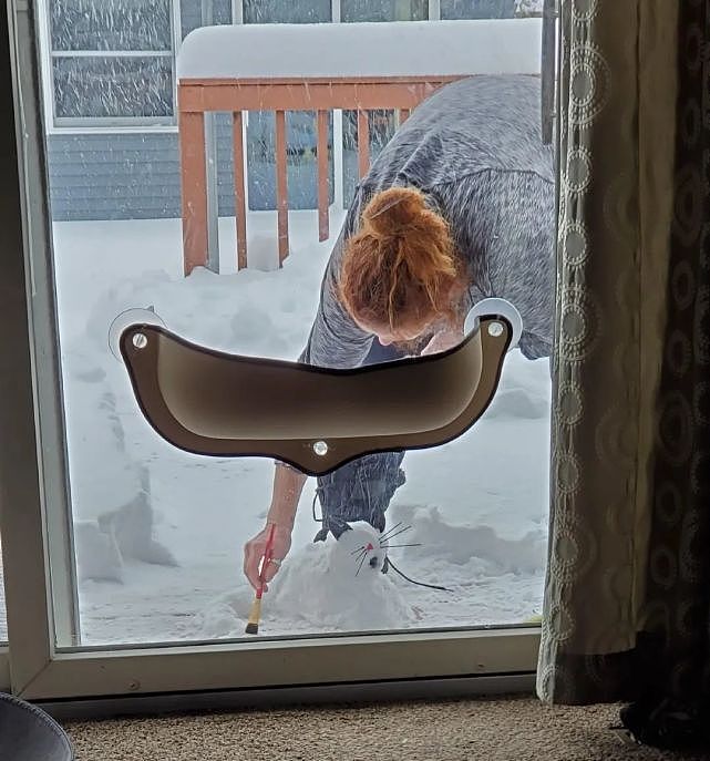 在屋外用雪堆了一只猫咪，结果猫主子整天坐在窗边看 - 1