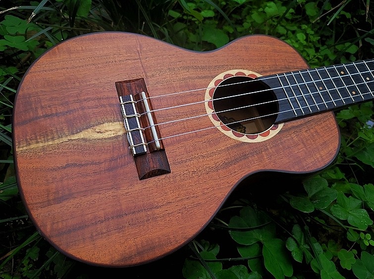 成都金典吉他琴行Leony工厂联合UK龙头企业推出新品尤克里里 - 2