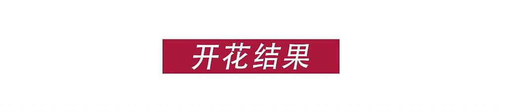 真好，又火了一个「变态」男演员 - 15