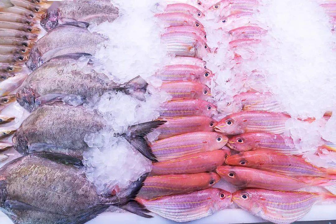 这5种淡水鱼值得多吃！高DHA、EPA，好买又便宜 - 1