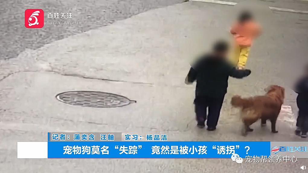 金毛被三个小孩“逗走”，主人看监控找到后小孩说：把狗狗带过去给奶奶卖到狗肉馆 . - 2