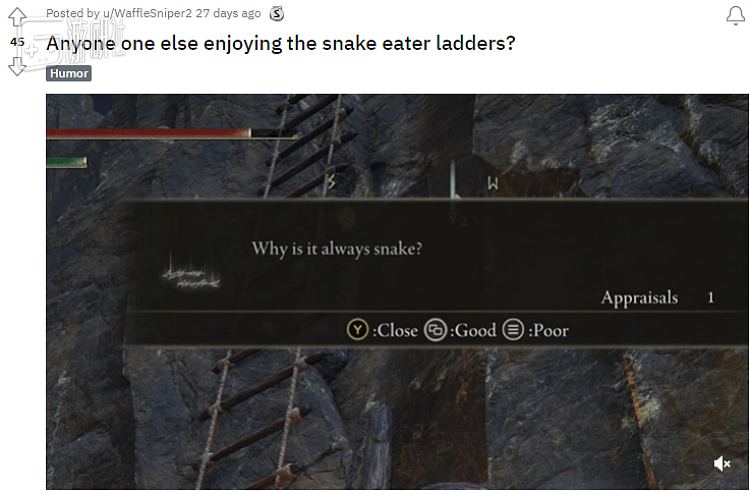 “为什么总是蛇”