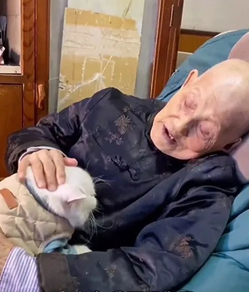 91岁奶奶躺在椅子上，抱着8岁的猫咪：我不在后，要记得听话 - 4