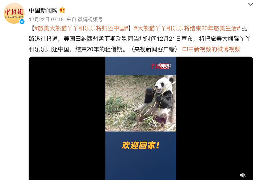 在美国遭受“虐待”的两只中国大熊猫，终于要接你们回家了… - 5
