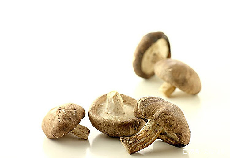 蘑菇与癌症风险降低
#关你健康# 蘑菇，种类繁多，味道鲜美，而且富含维生素和营养素，以及抗氧化剂。最近，宾夕法尼亚州立大学的学者，在《营养学进展》杂志上发表了1篇论文。通过对17项癌症研究的荟萃分析和系统评估，结果表明，较高的蘑菇食用量与较低的癌症风险有关。研究者认为，蘑菇中的麦角硫因，是... - 1