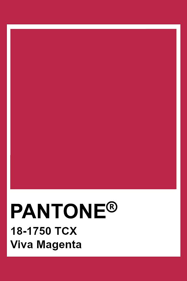Pantone 2023年度流行色——洋红色