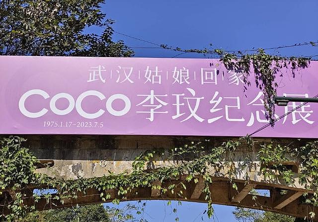 李玟纪念展在武汉举行 园区遍布粉紫色海报 - 6