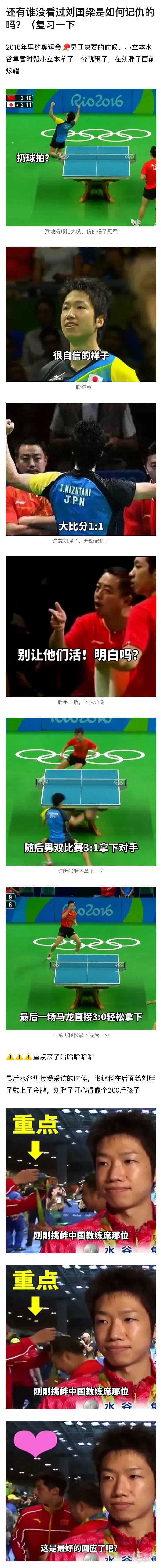 哈哈哈哈哈国乒队各个