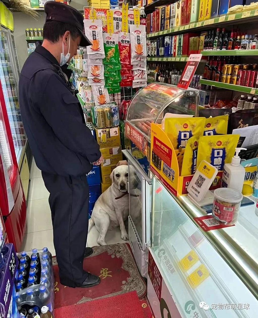 狗狗偷溜出门，跑到超市狂炫四根香肠和一个肉包子 ... 真会给铲屎官省钱！ - 1