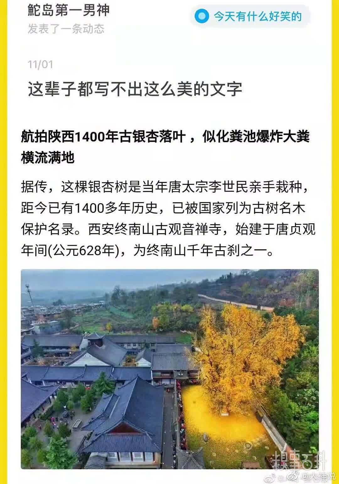 这辈子都写不出这么美