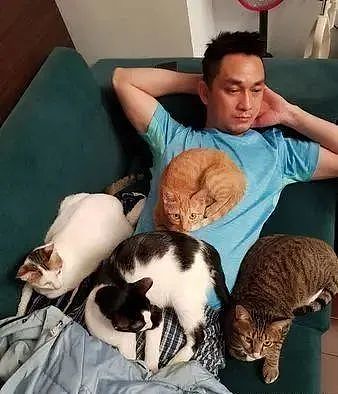 老公躺下来身边围4色猫，爱猫通通走到他身边窝成球！ - 1
