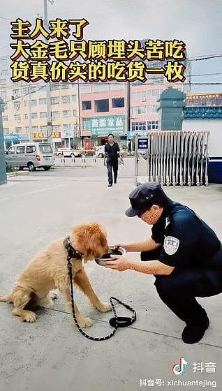 市民举报说楼道里有恶犬扰民，民警赶到后发现恶犬有点萌，反手就给它找了个家 . - 15